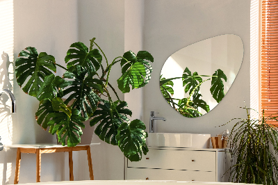 Organische vorm spiegel modern style