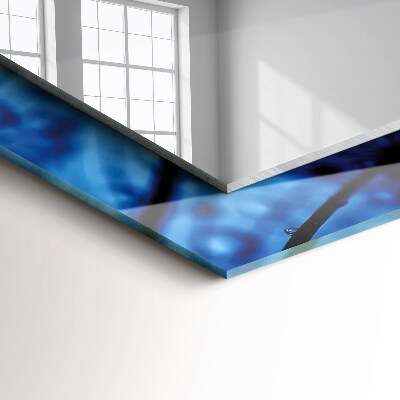 Rechthoekige spiegel met print Druppels op paardenbloemen