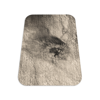 Vloerbeschermer Leeuw Afrika Patronen