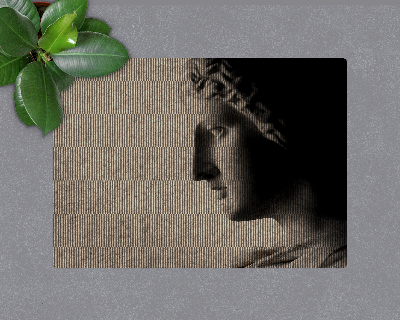 Vloerbeschermer bureaustoel Nieuw Rome