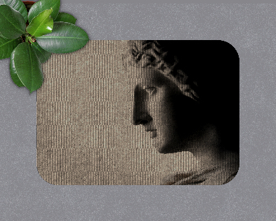 Vloerbeschermer bureaustoel Nieuw Rome