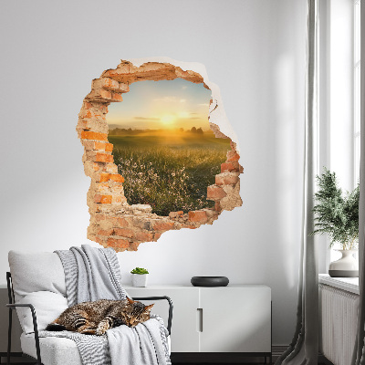 3D wandsticker gat in de muur 111x130 Zonnige weide