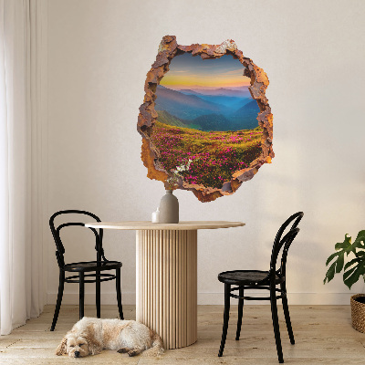 3D wandsticker gat in de muur 108x130 Bloemenbergen