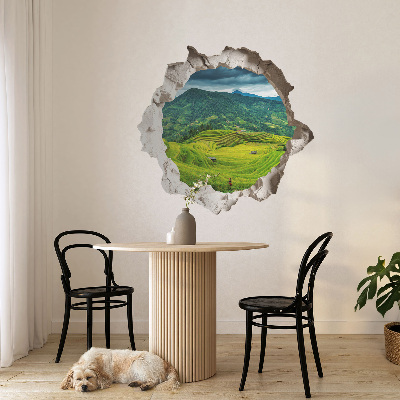 3D wandsticker gat in de muur 130x123 Groene terrassen