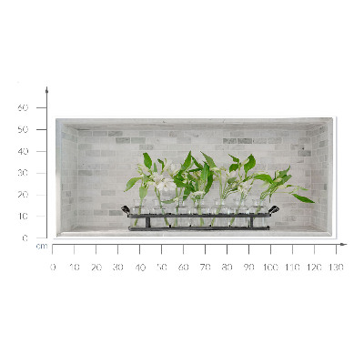 3D effect muursticker 130x56 Bloemen in vazen