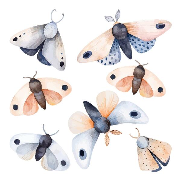 Muur stickers 100x128 Pastelkleurige boho-motten met kleurrijke insecten