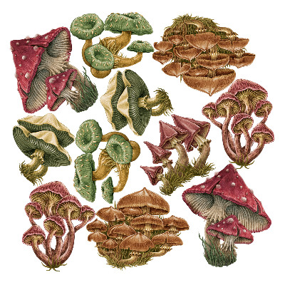 Muur stickers 100x48 Bospaddestoelen in een tekenfilmversie