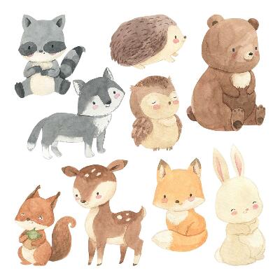 Muur stickers 100x174 Pastelkleurige boswezens in aquarelstijl