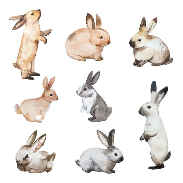 Muurstickers 130x235 Pastelkonijntjes in aquareltechniek