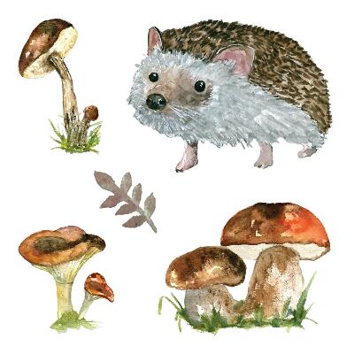 Muurstickers 130x201 Een boscompositie van planten en dieren in aquarel