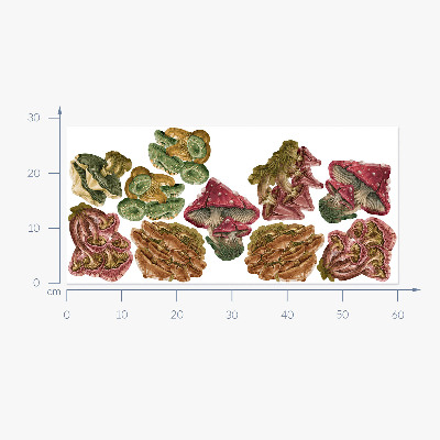 Muurstickers 60x29 Bospaddestoelen in een tekenfilmversie