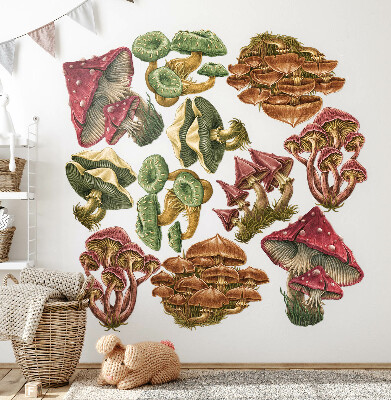 Muur stickers 80x38 Bospaddestoelen in een tekenfilmversie