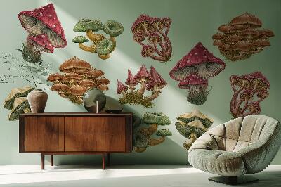 Muur stickers 80x38 Bospaddestoelen in een tekenfilmversie