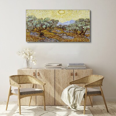 Foto op canvas Olijfbomen in de zon