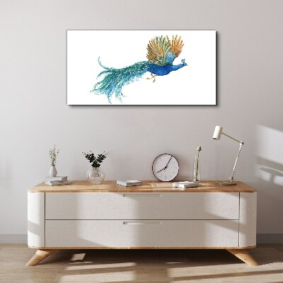 Foto op canvas Een kleurrijke pauw in beweging