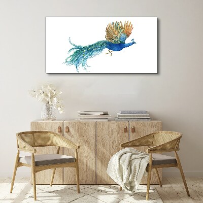 Foto op canvas Een kleurrijke pauw in beweging