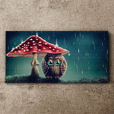 Foto op canvas Een uil onder een paddenstoel in de regen