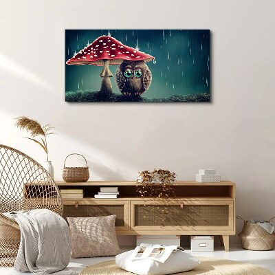 Foto op canvas Een uil onder een paddenstoel in de regen