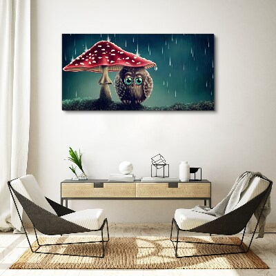 Foto op canvas Een uil onder een paddenstoel in de regen