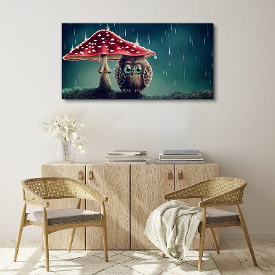 Foto op canvas Een uil onder een paddenstoel in de regen
