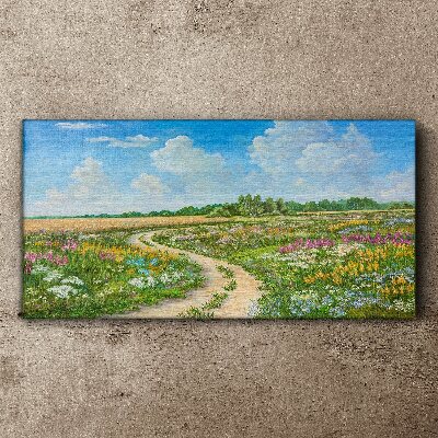 Foto op canvas Een bloemenpad tussen de weilanden