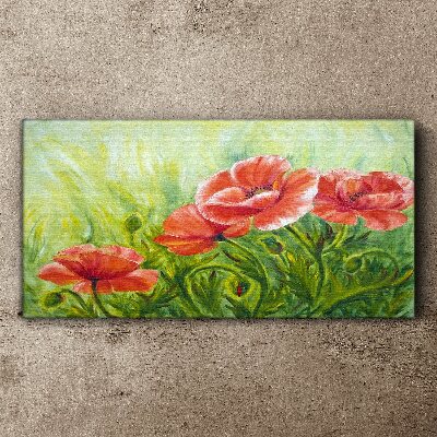 Foto op canvas Bloemen in een lenteweide