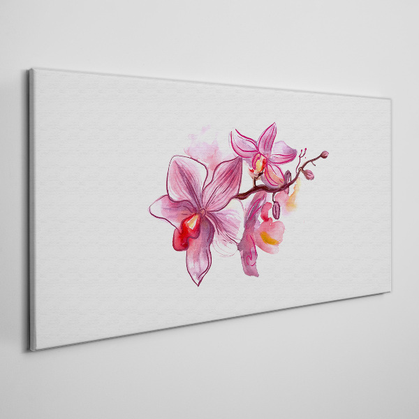 Foto op canvas Roze orchideeën op een witte achtergrond