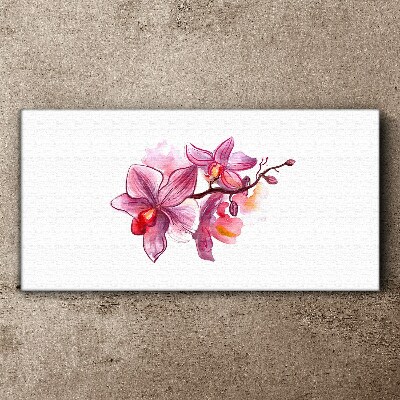 Foto op canvas Roze orchideeën op een witte achtergrond