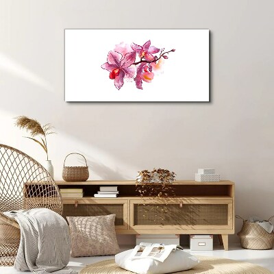Foto op canvas Roze orchideeën op een witte achtergrond