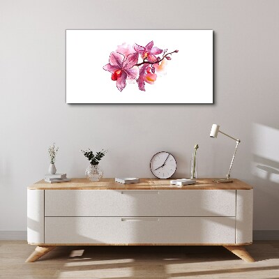 Foto op canvas Roze orchideeën op een witte achtergrond