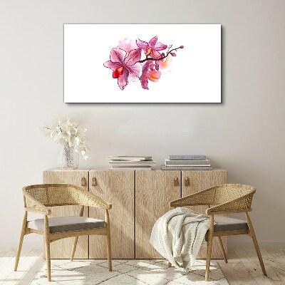 Foto op canvas Roze orchideeën op een witte achtergrond