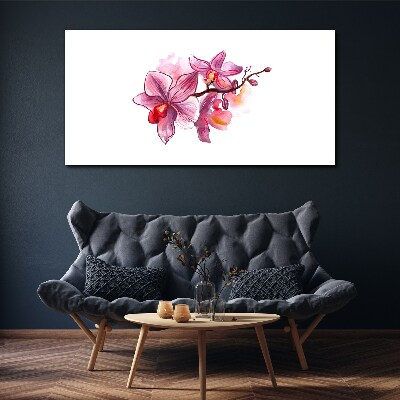 Foto op canvas Roze orchideeën op een witte achtergrond