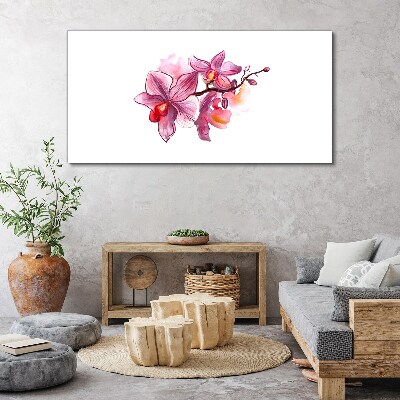 Foto op canvas Roze orchideeën op een witte achtergrond