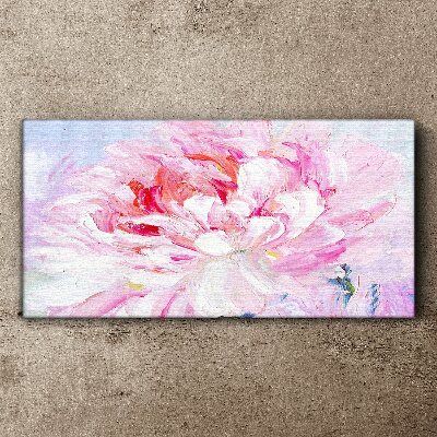 Foto op canvas Roze pioenroos met een delicate gloed
