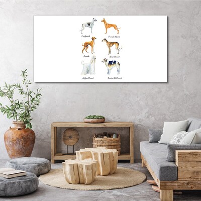 Foto op canvas Hondenrassen