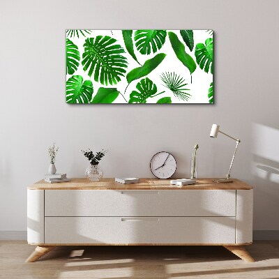 Foto op canvas Tropisch groen in de bladeren