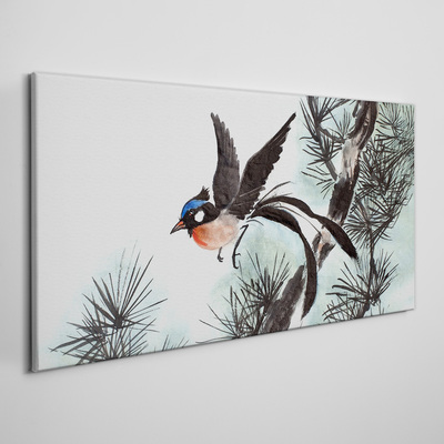 Foto op canvas Een vogel in vlucht over de dennen