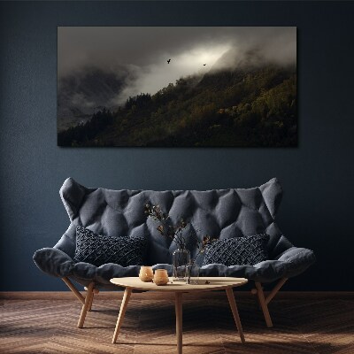 Foto op canvas Mistig bergpanorama met vogels