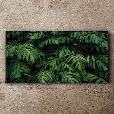 Foto op canvas Groene jungle