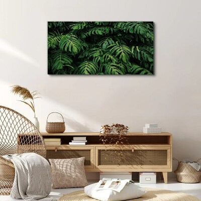 Foto op canvas Groene jungle