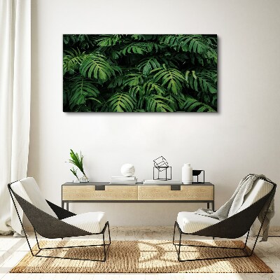 Foto op canvas Groene jungle