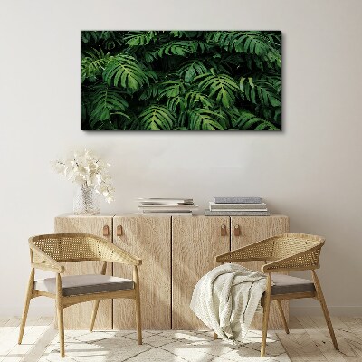 Foto op canvas Groene jungle