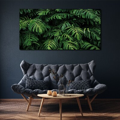 Foto op canvas Groene jungle