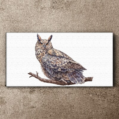 Schilderij op doek Uil op een tak