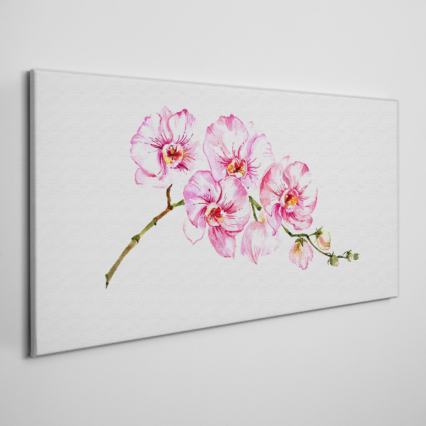 Schilderij op doek Roze orchideeën op een witte achtergrond
