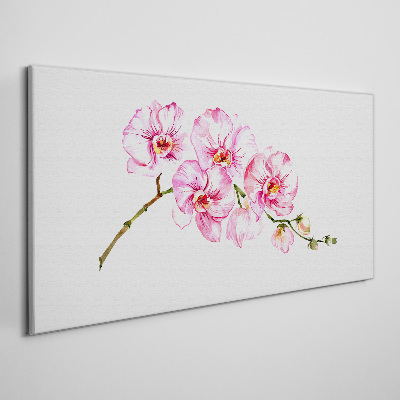 Schilderij op doek Roze orchideeën op een witte achtergrond