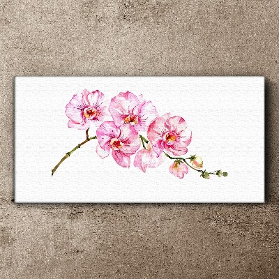 Schilderij op doek Roze orchideeën op een witte achtergrond