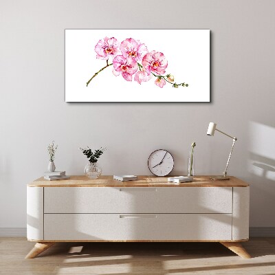 Schilderij op doek Roze orchideeën op een witte achtergrond