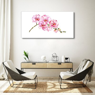 Schilderij op doek Roze orchideeën op een witte achtergrond