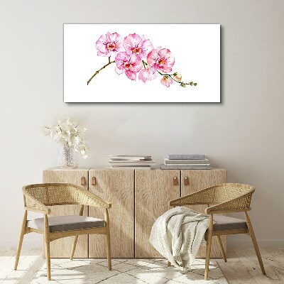 Schilderij op doek Roze orchideeën op een witte achtergrond
